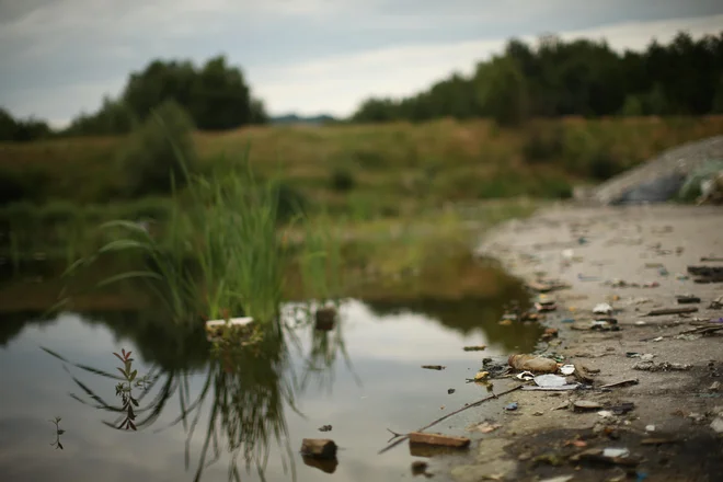 Po plitkem jezeru črnikaste vode, ki je nastalo na utrjenem delu zemljišča, se vozijo race mlakarice in vodni drsalci. FOTO: Jure Eržen/Delo