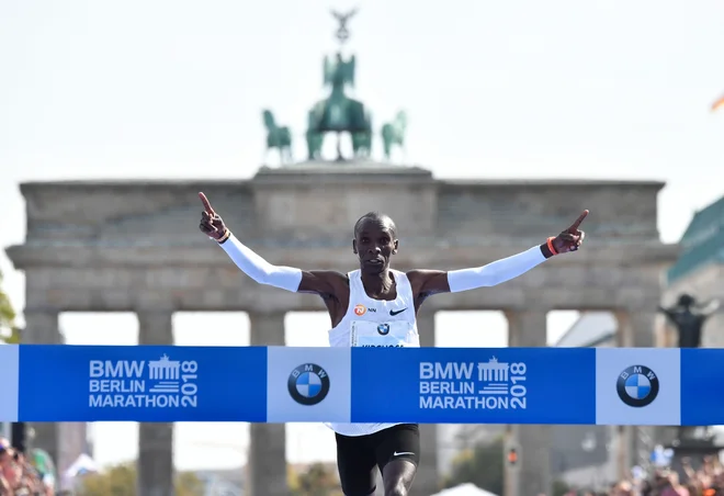 Kipchoge je v Berlinu zmagal že trikrat. FOTO: John Macdougall/AFP