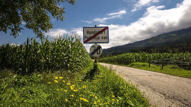 Fotografija: Pred plebiscitom je bilo v coni A 70 odstotkov slovensko  govorečega prebivalstva. FOTO: Voranc Vogel