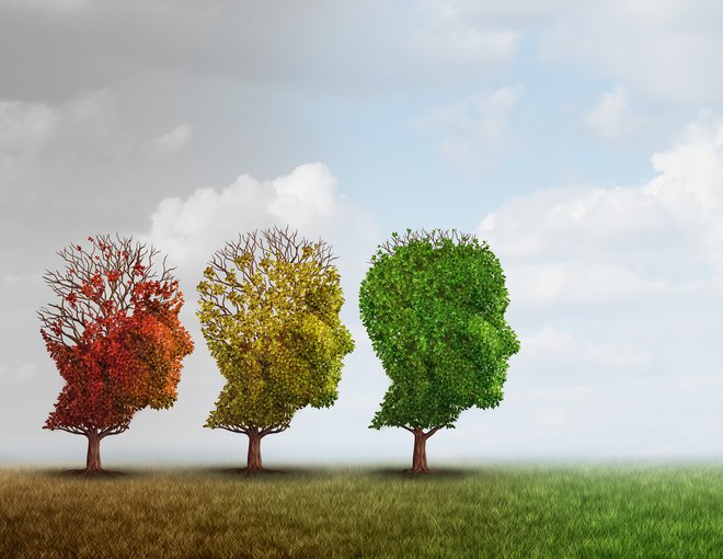 Lewyjevo demenco vse pogosteje omenjajo kot samostojno obliko bolezni, poljudno pa jo opisujejo kot kombinacijo alzheimerjeve in parkinsonove bolezni z znaki napredujoče demence, parkinsonizma in psihičnih motenj. FOTO: Shutterstock