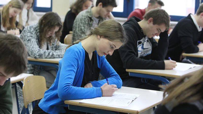 Fotografija: Petka na gimnaziji je več kot petka na strokovni šoli, pravi ravnateljica Gimnazije Vič Alenka Krapež. FOTO: Leon Vidic/Delo