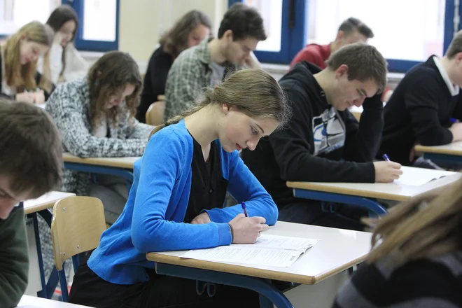 Petka na gimnaziji je več kot petka na strokovni šoli, pravi ravnateljica Gimnazije Vič Alenka Krapež. FOTO: Leon Vidic/Delo