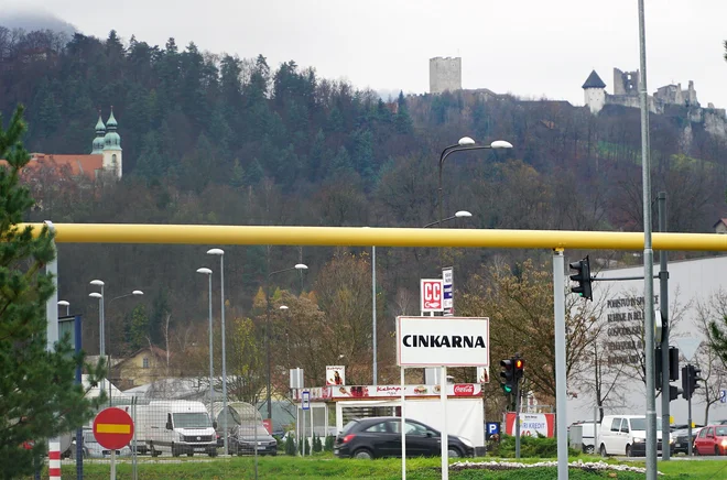 Če Cinkarna ne bo dosegla letnega načrta, bodo lastniki, med katerimi je največji delničar država, letos spet poželi rekorden čisti dobiček. Foto Brane Piano