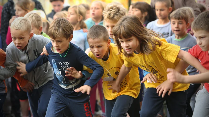 Fotografija: »Otroci so ustvarjalni, kar pa izkoreninjamo zaradi ambicioznosti v družbi,« pravi ravnatelj OŠ Prežihovega Voranca Marjan Gorup. Foto Jure Eržen