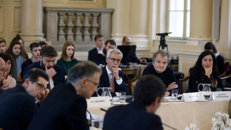 Fotografija: O tem, kje zasidrati zasebne šole, da bi se še naprej razvijale skupaj z javnimi, je na posvetu pri predsedniku države razpravljalo trinajst sogornikov. Foto Matej Družnik