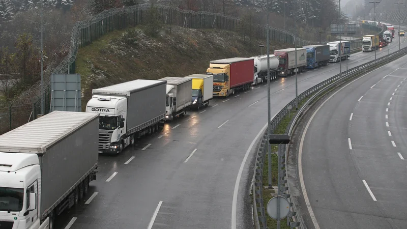 Fotografija: Logistika naj bi zagotavljala prave dobrine in storitve na pravem mestu in ob pravem času ter z najnižjimi stroški in vplivi na okolje. FOTO: Tadej Regent/Delo