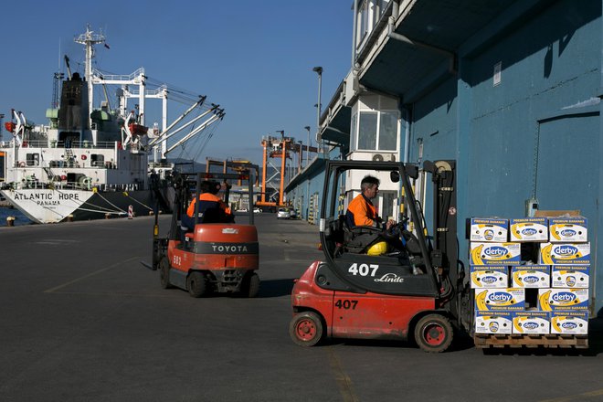 Raztovor in prepakiranje blaga v pristanišču. FOTO: Voranc Vogel/Delo