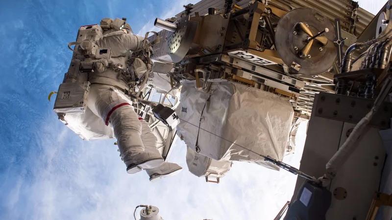 Fotografija: Na sliki je Peggy Whitson. FOTO: Nasa