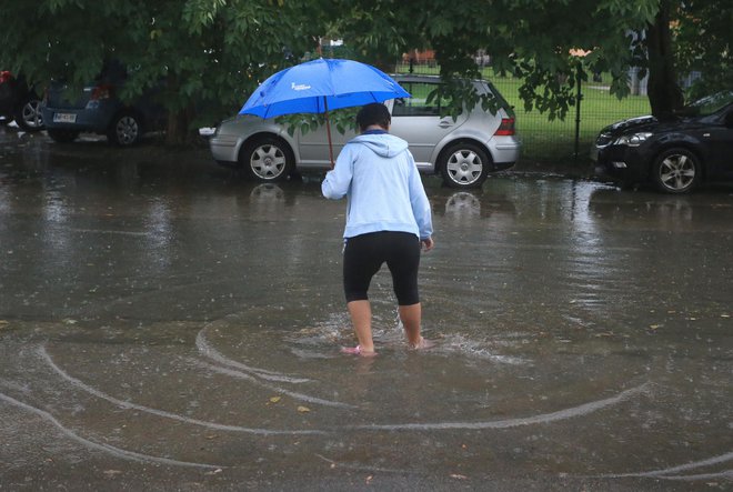 Poplave bomo imeli zlasti zaradi zelo izdatnih nalivov. FOTO: Tadej Regent/Delo