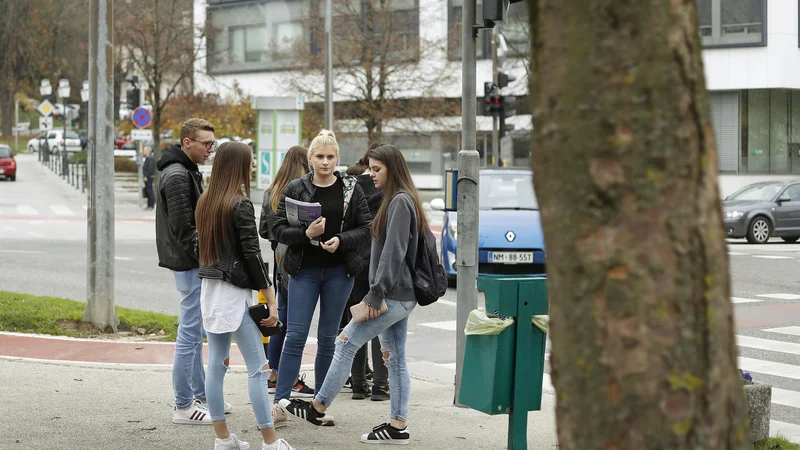 Fotografija: Mladi so večkrat označeni za neaktivne, v petek pa bo šlo za prihodnost. FOTO: Leon Vidic/Delo