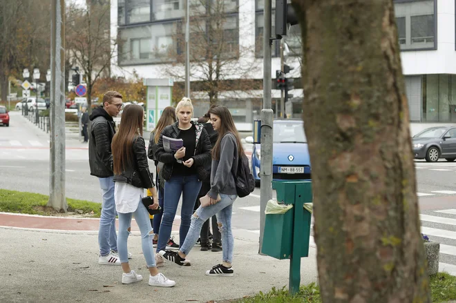 Mladi so večkrat označeni za neaktivne, v petek pa bo šlo za prihodnost. FOTO: Leon Vidic/Delo