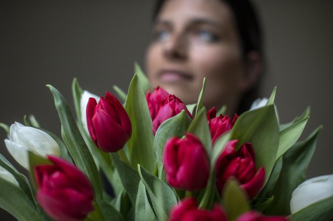 Beseda tulipan izvira iz turške besede za turban. FOTO: Voranc Vogel/Delo