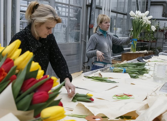 Z več kot 75 vrstami in prek 3000 sortami, ki jih poznamo danes, ponujajo tulipani neskončno število možnosti za namizne dekoracije. FOTO: Gleb Garanich/Reuters