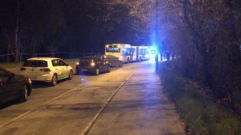 Fotografija: V incidentu je bil udeležen avtobus mestne linije 6B. Storilec naj bi neuradno vanj vstopil na Slovenski cesti. FOTO: M. M.
