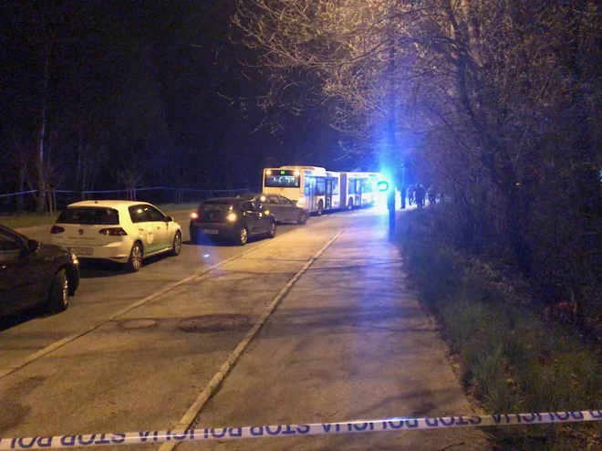 V incidentu je bil udeležen avtobus mestne linije 6B. Storilec naj bi neuradno vanj vstopil na Slovenski cesti. FOTO: M. M.