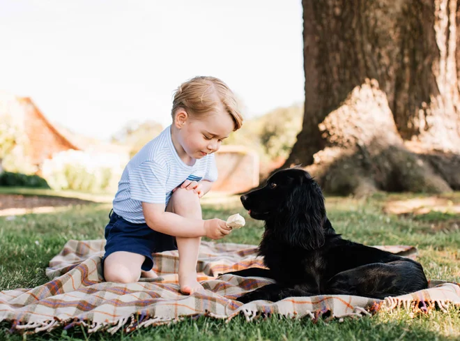 Princ George, 3,17 milijarde evrov v britansko gospodarstvo Foto www.royal.uk