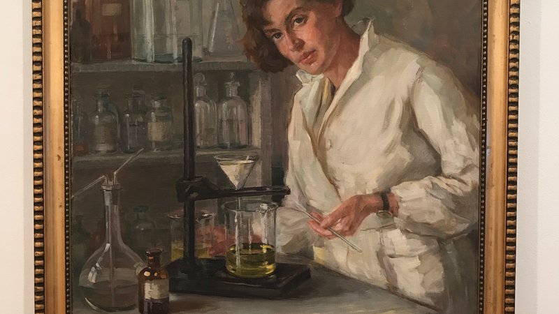 Fotografija: Ana Mayer Kansky, kot jo je na sliki z naslovom Kemičarka upodobila Henrika Šantel. Slika je prav zdaj na ogled v Moderni galeriji. FOTO: Sašo Dolenc