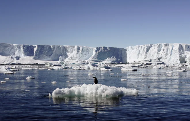 FOTO: Reuters