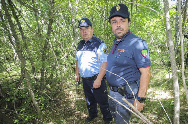 Slovenski in italijanski policist med prikazom opazovanja v gozdu, kjer je največ ilegalnih prehodov. FOTO: Jože Suhadolnik
