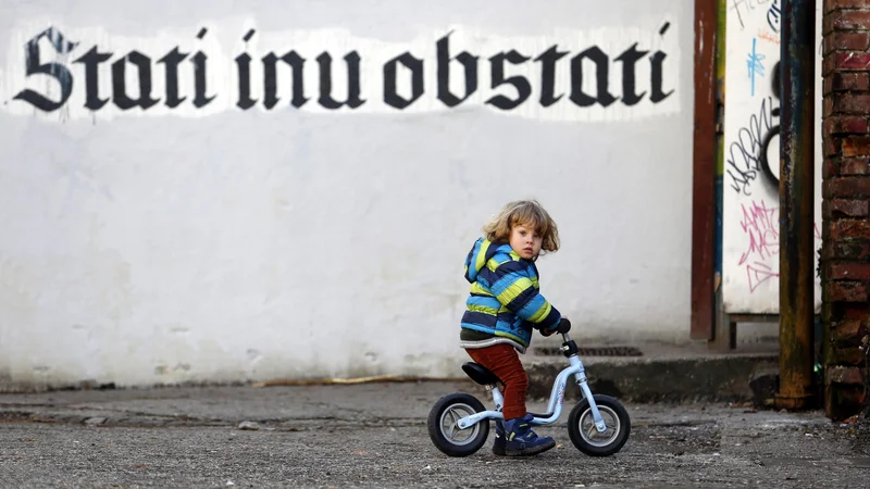 Fotografija: FOTO: Matej Družnik/Delo