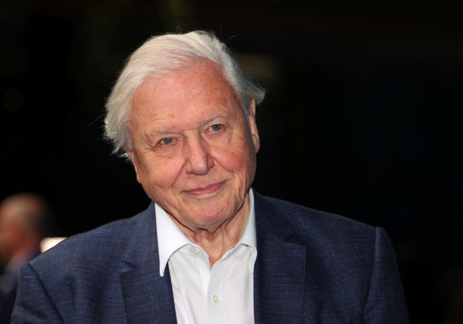 Britanci so voditelja naravoslovnih dokumentarcev Davida Attenborougha že lani izbrali za najljubši glas naroda. FOTO: Hannah Mckay/Reuters