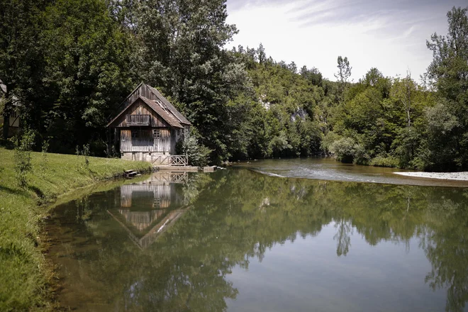 Včasih se čudim, da so me le enkrat v življenju prebutali do nezavesti. FOTO: Uroš Hočevar/Delo