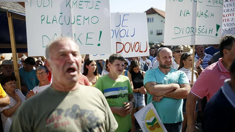 Fotografija: V Velikih Laščah se je zbralo približno sto ljudi. FOTO: Blaž Samec/Delo