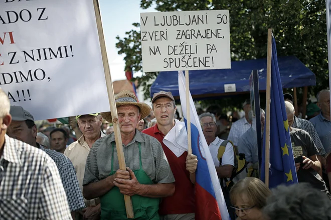 FOTO: Blaž Samec/Delo