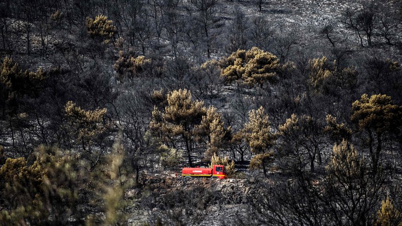 Fotografija: Požar je izbruhnil ob 3. uri po lokalnem času ob cesti. FOTO: Angelos Tzortzinis/AFP
