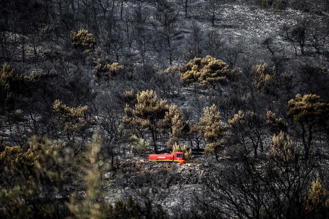 Požar je izbruhnil ob 3. uri po lokalnem času ob cesti. FOTO: Angelos Tzortzinis/AFP