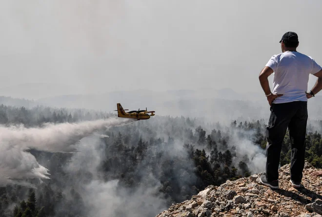 V gašenju sodeluje več kot 200 gasilcev.&nbsp;FOTO: Louisa Gouliamaki/AFP