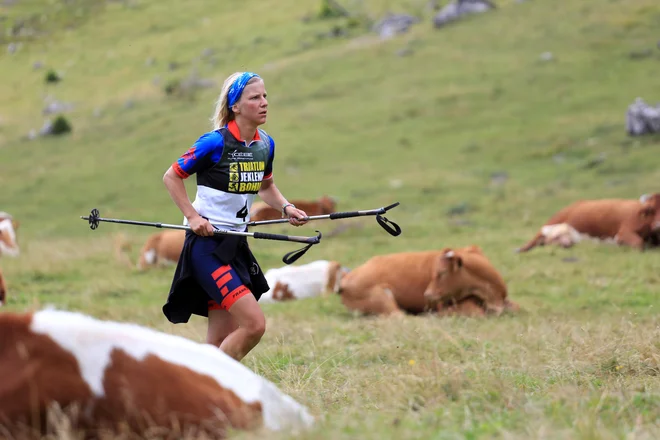 Foto: Mitja Sodja&nbsp;