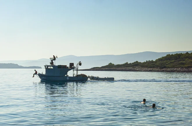 Hvar. Fotografija je simbolična. FOTO: Jože Suhadolnik/Delo