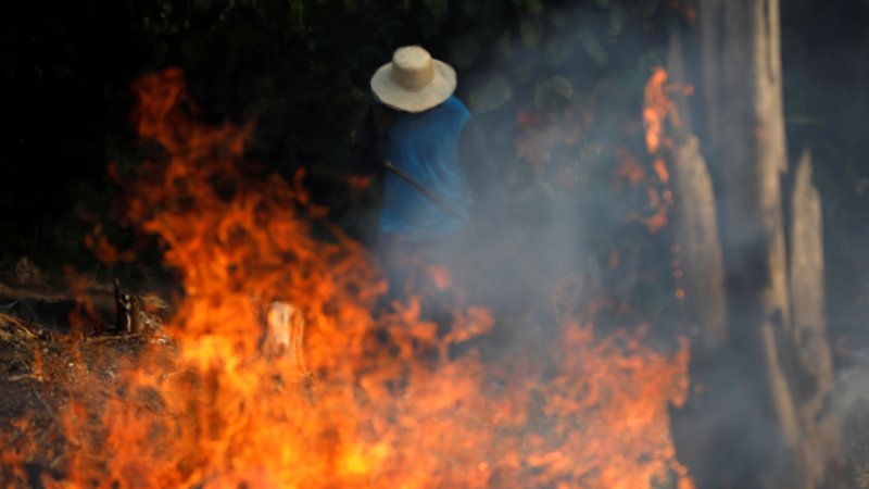 Fotografija: Rekordno število požarov v Braziliji. Krivdo zanje pripisujejo predsedniku države. FOTO: Bruno Kelly/Reuters
