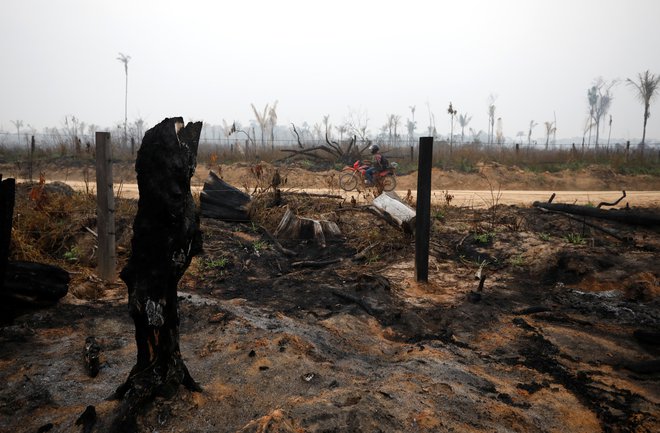 Francija je napovedala, da bo zaradi okoljske politike brazilskega predsednika<strong> </strong>nasprotovala trgovinskemu sporazumu. FOTO: Bruno Kelly/Reuters