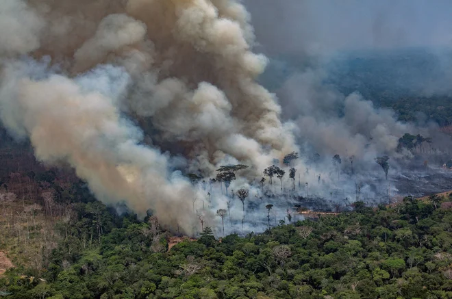 Brazilski deževni gozd gori. FOTO: Victor Moriyama/Afp