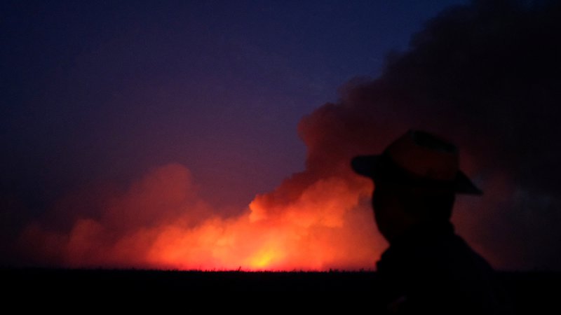 Fotografija: Letos so na območju Brazilije zabeležili okoli 80.000 požarov, od tega polovico na območju bazena Amazonije. FOTO: Lucas Landau/Reuters