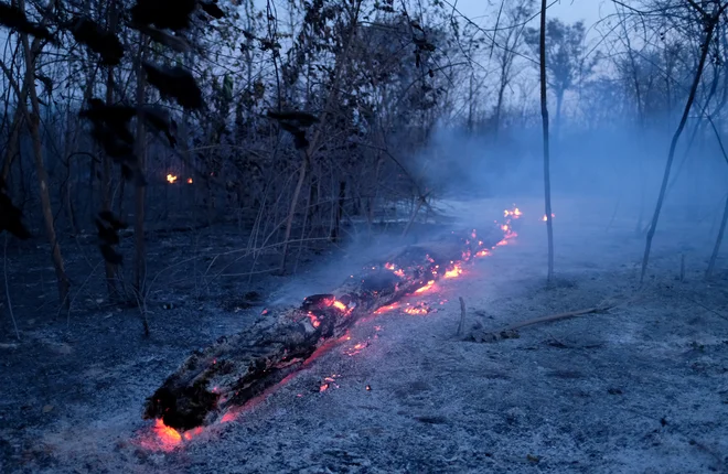 FOTO: Lucas Landau/Reuters