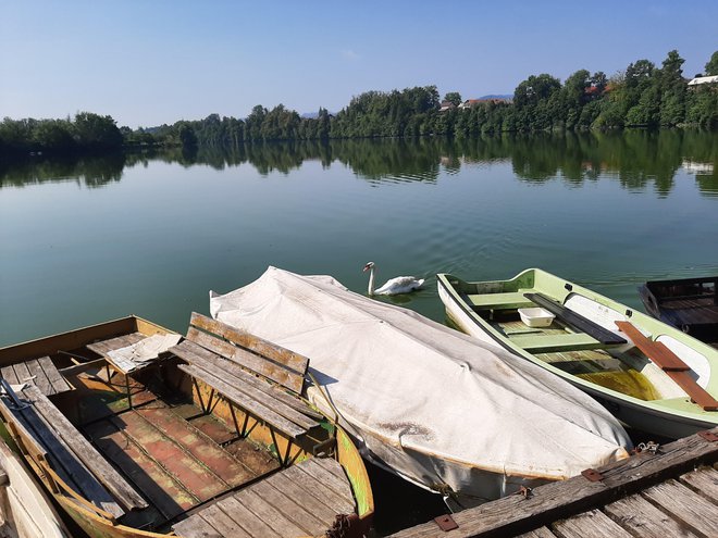 Trbojsko jezero je menda trikrat večje kot Zbiljsko. FOTO: Janez Porenta