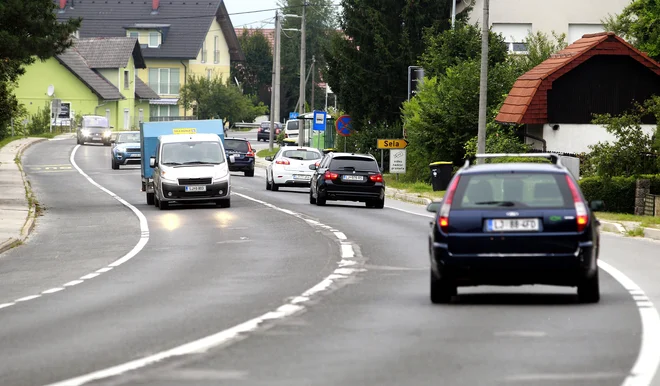 Na Lavrici ne bi imeli zožene štiripasovnice, saj bi ogrozila njihov življenjski prostor. FOTO: Roman Šipić/Delo