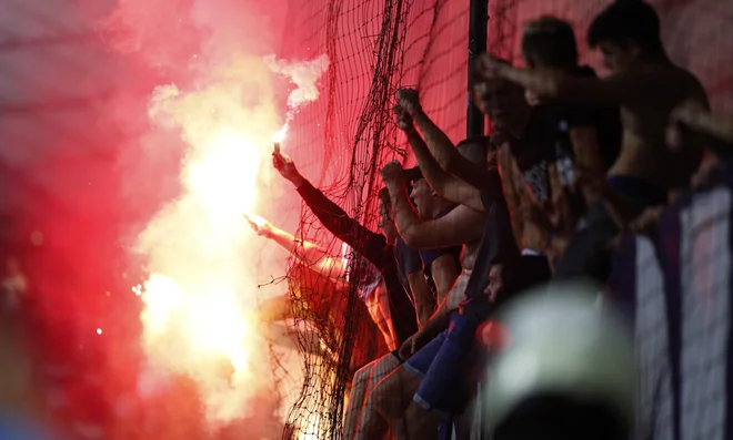 Navijači v Ljudskem vrtu. FOTO: Roman Šipić/Delo