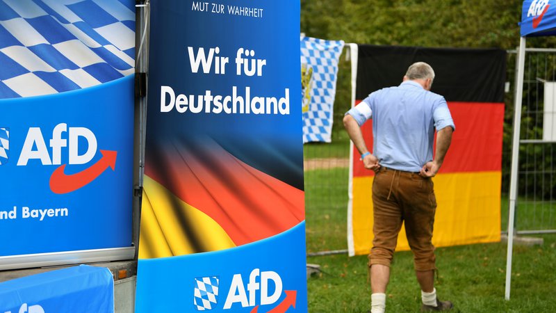 Fotografija: Alternativi za Nemčijo (AfD) uspel izjemen met – stranka je v obeh deželah več kot podvojila rezultat in se zavihtela na drugo mesto. Foto: Andreas Gebert/Reuters