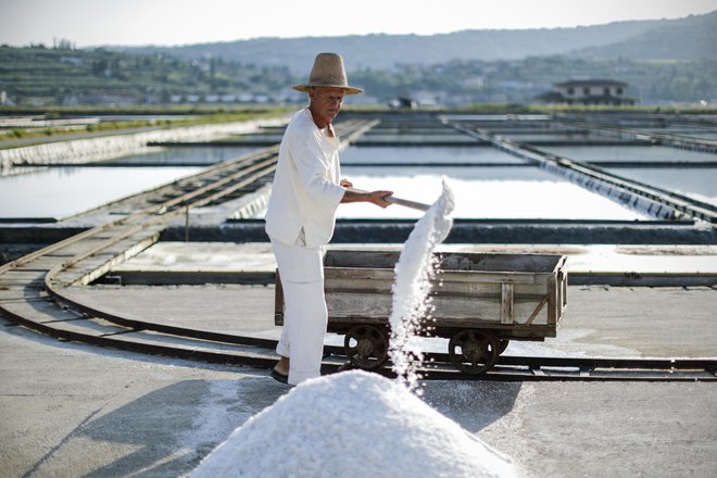 Pridelovanje morske soli v Sloveniji pomeni tudi ohranjanje kulturne dediščine. Foto Uroš Hočevar