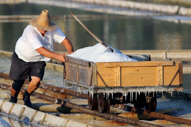 V solinah delajo tako zaposleni v podjetju Soline kot pogodbeni najemniki solnih polj. Foto Uroš Hočevar
