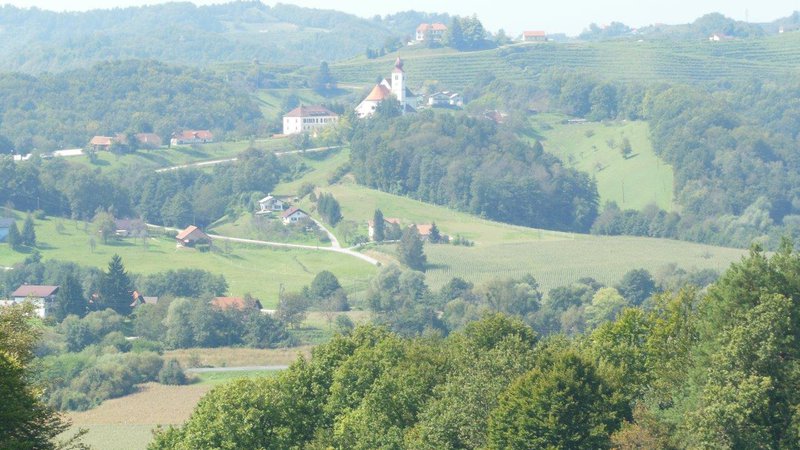 Fotografija: Na haloški poti, ki so jo pohodniki iz Trnovske vasi premagali v štirih mesecih, so prehodili sedem občin. Foto Franc Milošič