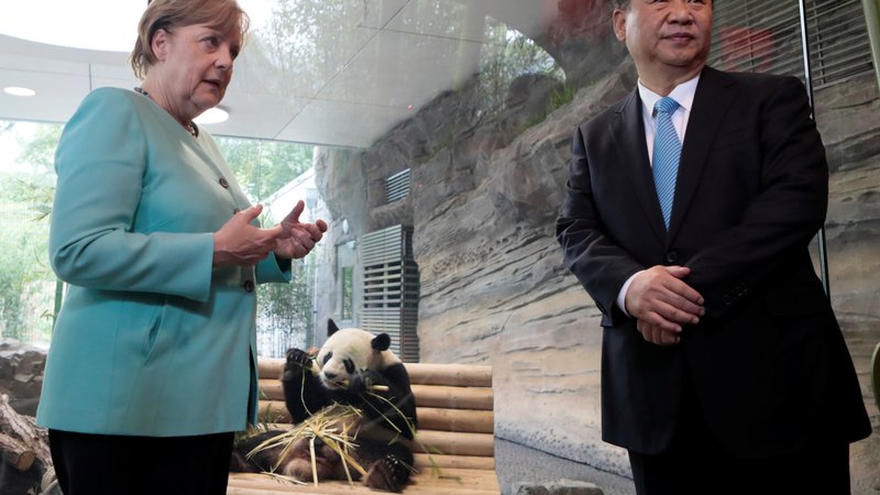 Fotografija: Angela Merkel in Xi Jinping sta pred dvema letoma v Berlinu preizkušala meje »pandovske diplomacije«. Tokratni obisk bo posvečen ustvarjanju konkretnih in ne toliko simboličnih vezi. FOTO: Reuters