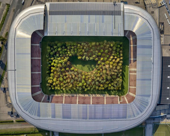 Na celovškem stadionu bo do 27. oktobra rastlo 299 dreves – ogled je brezplačen –, kasneje jih bodo za stalno presadili v bližino stadiona. Foto Unimo