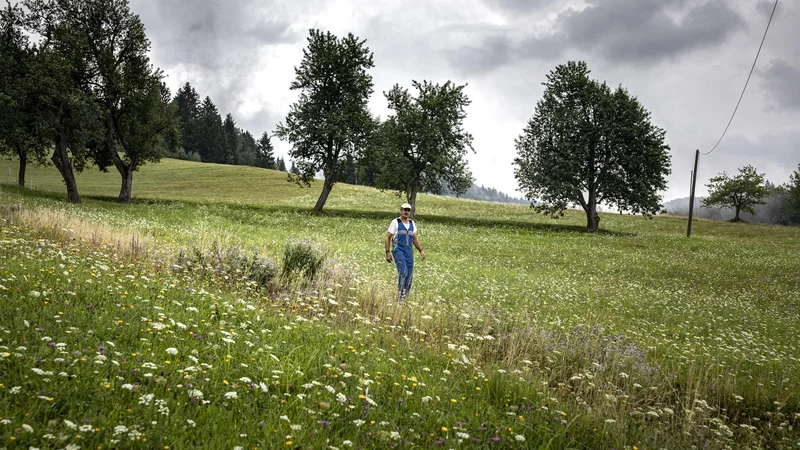 Ob razpravi o regionalizaciji pogosto slišimo, da je eden največjih problemov Slovenije vrtičkarstvo &ndash; zapiranje v malenkostne ograde neposrednih osebnih interesov brez zanimanja za širše dobro. FOTO: Voranc Vogel/Delo
