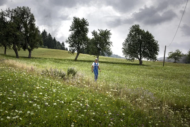 Ob razpravi o regionalizaciji pogosto slišimo, da je eden največjih problemov Slovenije vrtičkarstvo &ndash; zapiranje v malenkostne ograde neposrednih osebnih interesov brez zanimanja za širše dobro. FOTO: Voranc Vogel/Delo