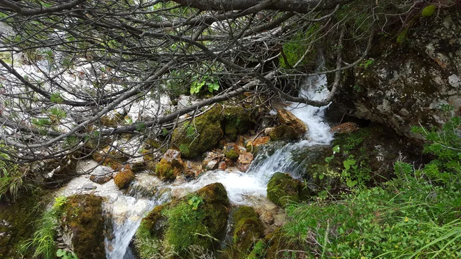 Slovenska narava je vrednota, a brez zmanjšanja emisij je ne bo mogoče zaščititi. FOTO: Borut Tavčar/Delo